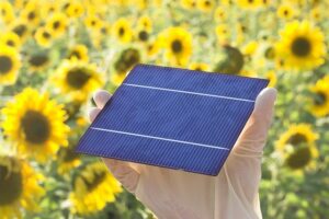 Solarpanel-Revolution: Wie neue Technologien die Energiegewinnung verändern